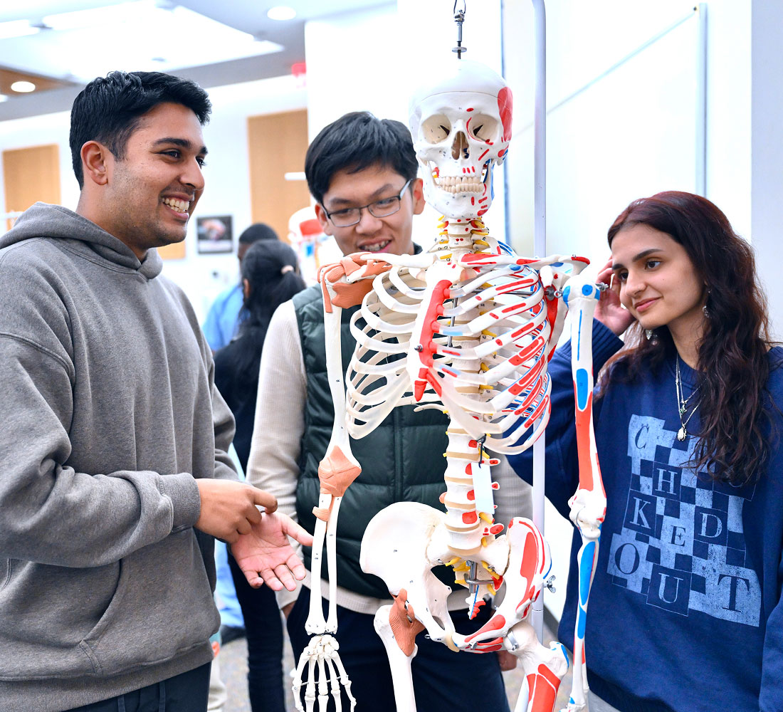 Students in Harlem looking at skeleton model