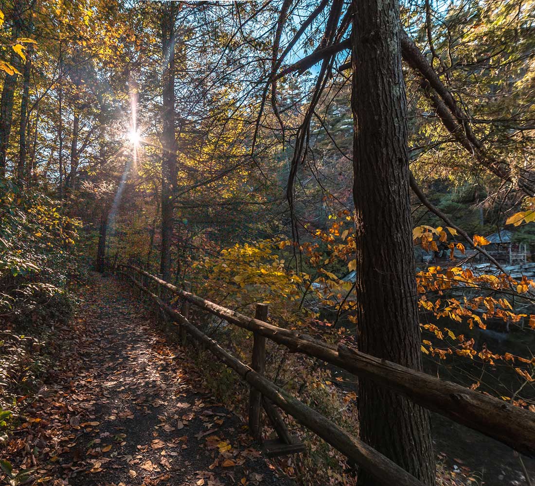 Trail in woods in Mohonk Preserve