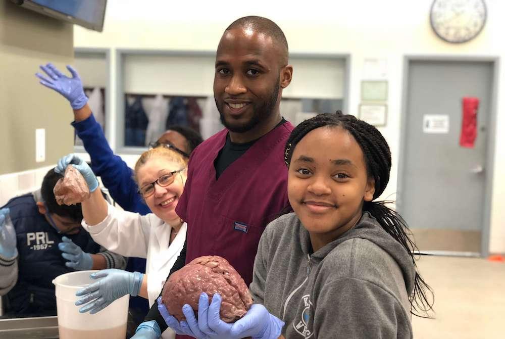 TouroCOM student Bart Wilder helped KIPP: Washington Heights Middle School student Zoey Ford hold a brain during the school\'s visit to TouroCOM on May 25.