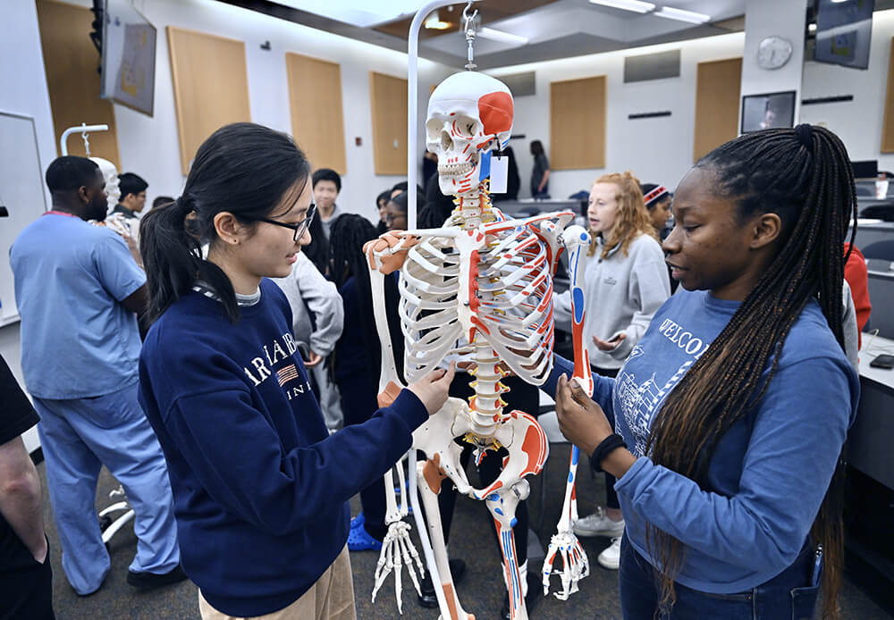 high school students examining skeleton in lecture hall 